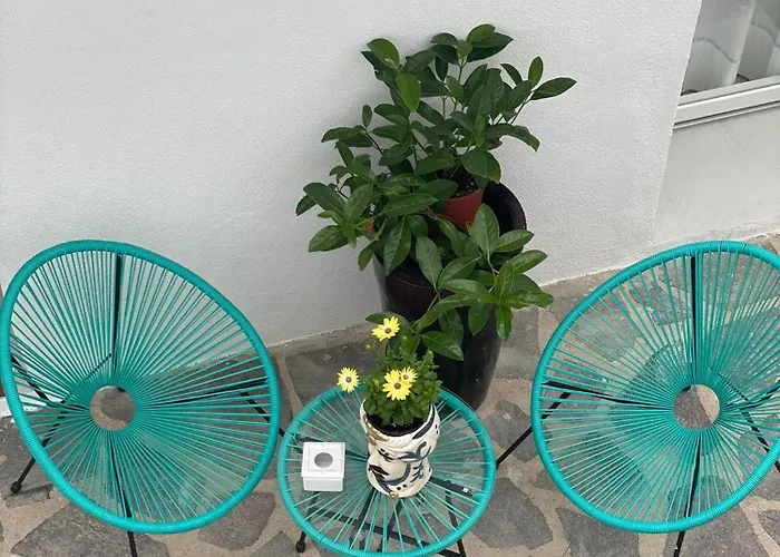 Guest house Domo Nea 3*